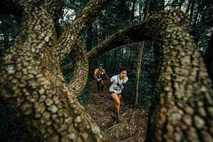 BIB: 
                            <button type="button" onclick="openModal(25668948)" class="btn btn-primary btn-sm float-right btn-popup" data-toggle="modal" data-target=".modal-high-quality">
                        <i class="fas fa-shopping-cart"></i> Add to Cart
                    </button>
                                            <button type="button" onclick="isThisMe(25668948, true)" class="btn btn-success btn-sm float-right btn-popup btn-isme hidden" data-toggle="tooltip" data-placement="bottom" title="นี่คือรูปของคุณใช่ไหม คลิกที่นี่เพื่อเอาเข้าอัลบั้ม">
                        <i class="fas fa-plus"></i> Add to album
                    </button>
                    <button type="button" onclick="isThisMe(25668948, false)" class="btn btn-warning btn-sm float-right btn-popup btn-isnotme hidden">
                        <i class="fas fa-ban"></i> Remove from album
                    </button>